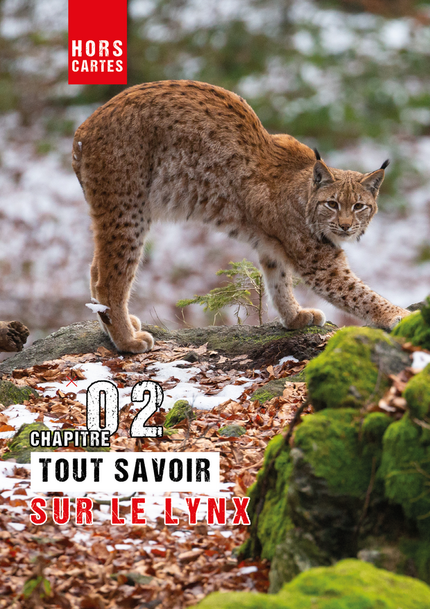Page fictive sur le matériel d'observation